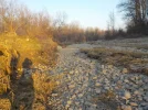DSCN4902.webp