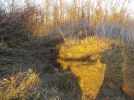 DSCN4909.webp