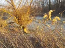 DSCN4908.webp