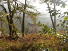 DSCN4920.webp