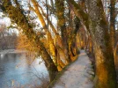 DSCN4914.webp