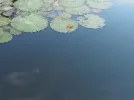 P2210020.webp
