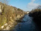 DSCN4925.webp