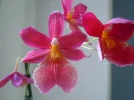 DSCN0672.webp