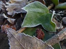 P1050420.webp