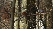 P1050430.webp