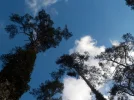 DSCN4937.JPG