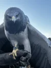 1645108025324.jpeg