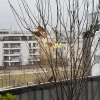 20220221_102851.webp