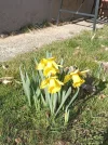 IMG_20220222_141631 (2).webp