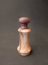 DSCN3099.webp