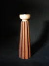 DSCN3102.webp