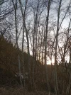 IMG_20220224_164529.webp