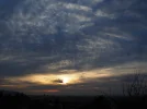 _OI000009.webp