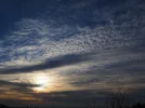 _OI000005.webp