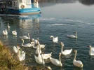 DSCN4986.webp