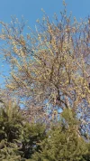 IMG_20220302_145147 (2).webp