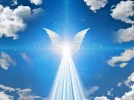 457E84F3-314B-411F-8381-968F0782C305.webp