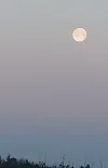 20220319_065711.webp