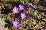 IMG-20220320-WA0005.webp