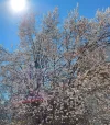 20220322_121625.webp