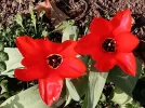 IMG_20220321_160401.webp
