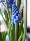 DSCN0711.webp