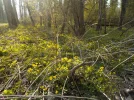 DSCN4997.webp
