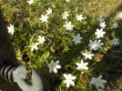 DSCN4992.webp