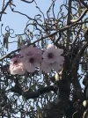 1648500811539.webp