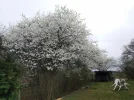 IMG_20220331_141015.webp