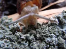 DSCN0072.webp