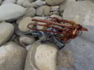 DSCN5018.JPG