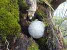 DSCN5020.JPG