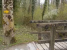DSCN5021.webp