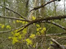 DSCN5026.webp