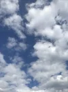 1649277975978.webp