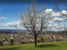 Screenshot 2022-04-10 182958.webp