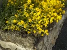DSCN5048.JPG