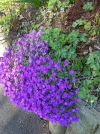 IMG_20220406_153233 (2).webp