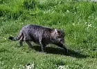 20220411_143001.webp