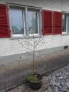 Screenshot 2022-04-12 191352.webp