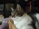 DSCN0652.webp