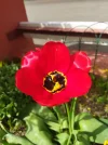 IMG_20220413_125234.webp