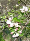 IMG_20220414_145941 (3).webp
