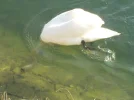 DSCN4981.webp