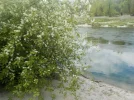 DSCN5062.webp