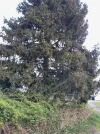 20220414_120115.webp
