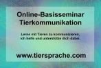80263933_3565582953481716_6125375546013515776_o.webp