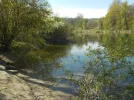 DSCN5068.webp